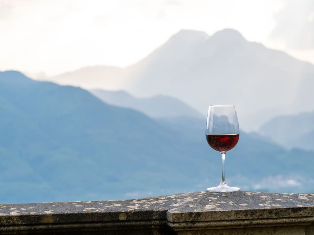 DSCF3467_ret_1 wine glass and mountains
