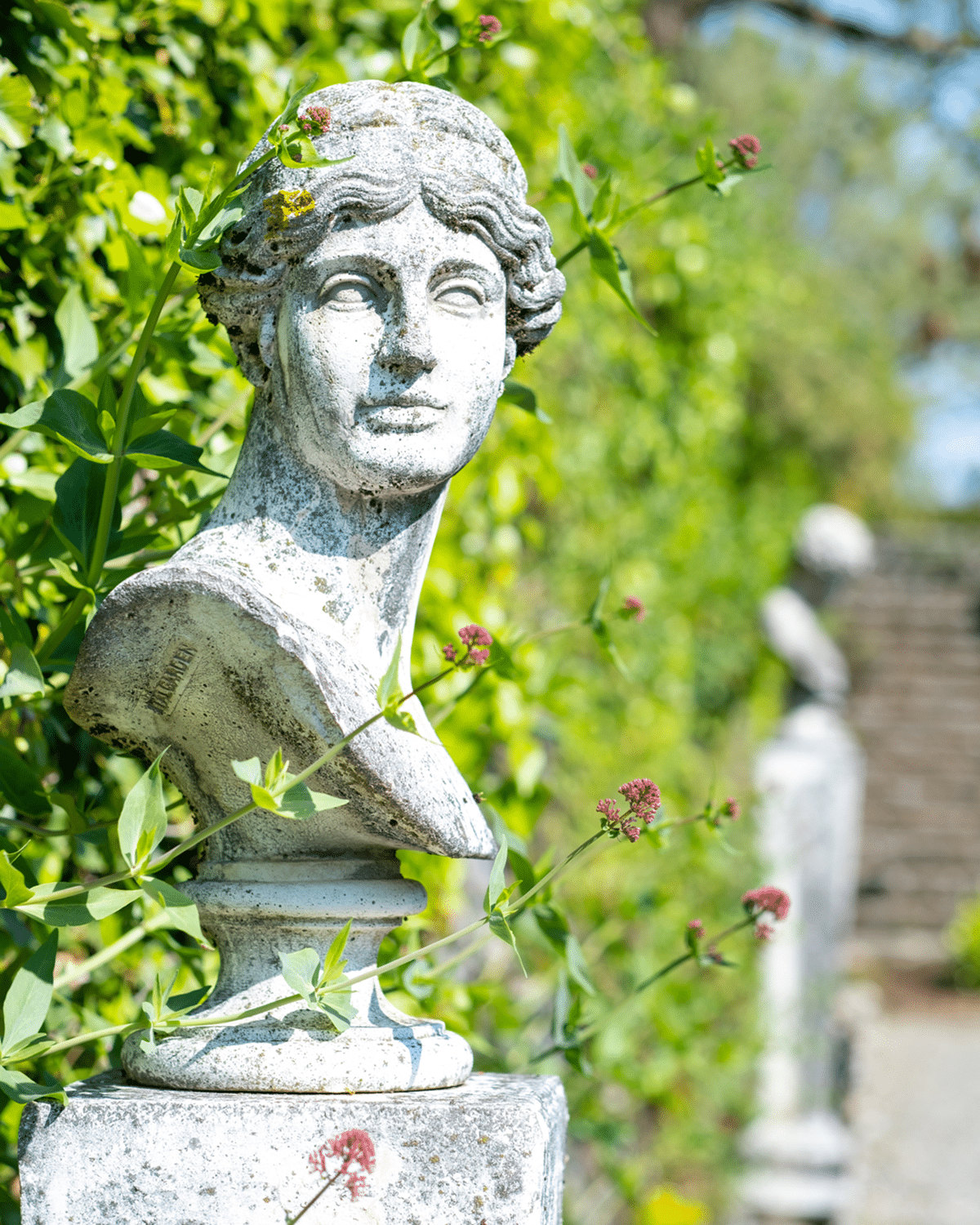 DSCF3546_ret_2 old statue in italy garden
