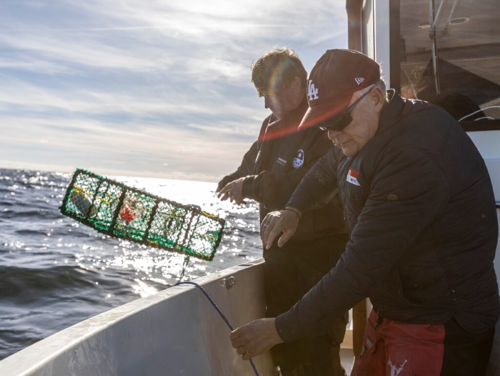 Lobster fishing with Fiskekrogen