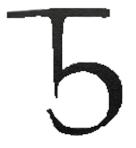 T5